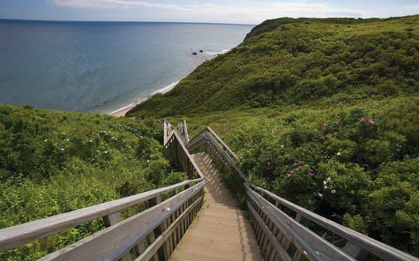 Visitor's Guide to Mohegan Bluffs