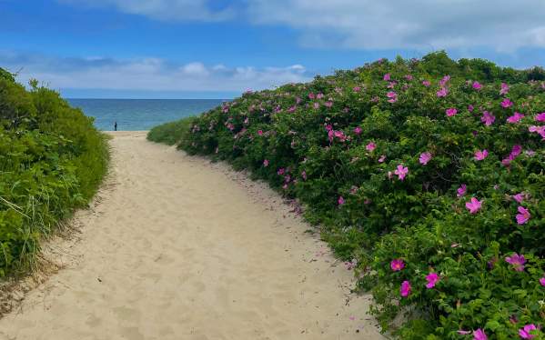 Block Island Summer Beaches Guide: Which Beach Is Right for You?