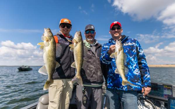 Waves, Walleyes, and Limits