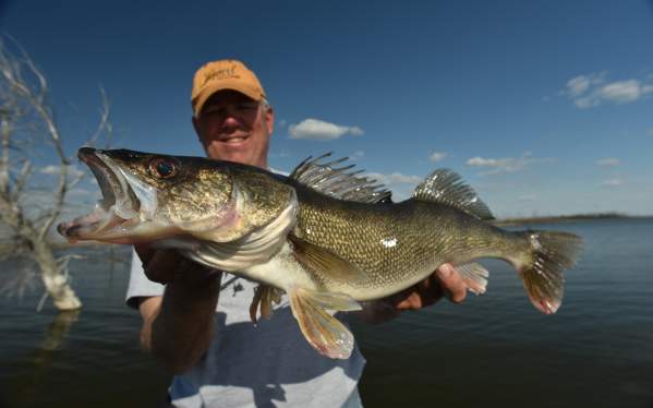 Springtime is the Right Time for Devils Lake Walleyes