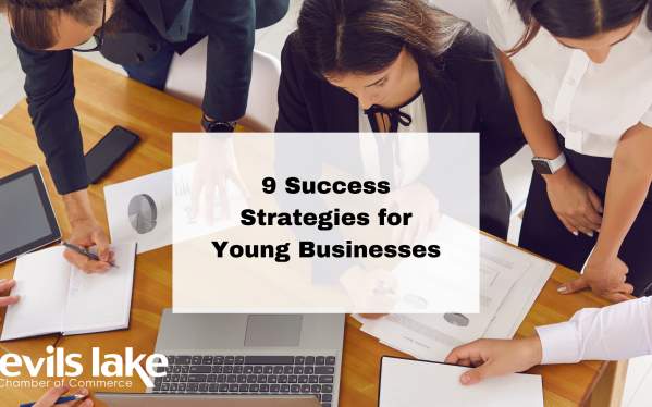 9 Success Strategies for Young Businesses