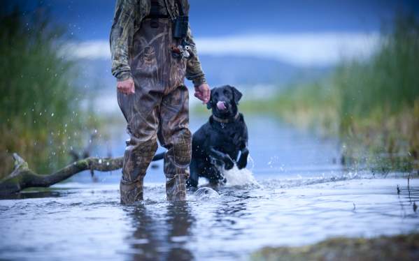 Gearing Up for Fall Waterfowl Season