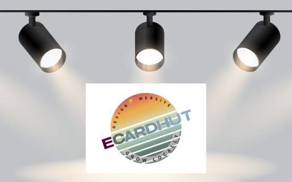 November Member Spotlight