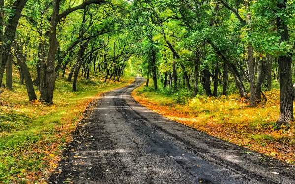 White Horse Hill Scenic Drive Fall