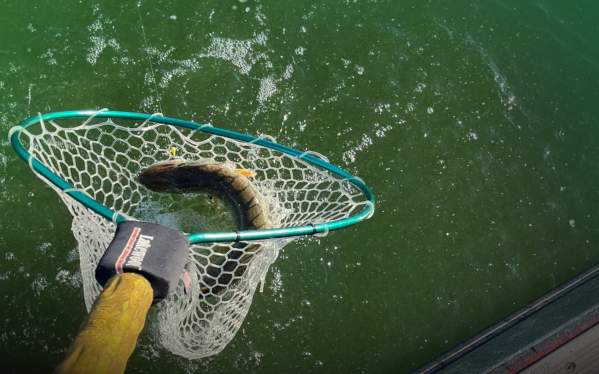 October 8th Fishing Report