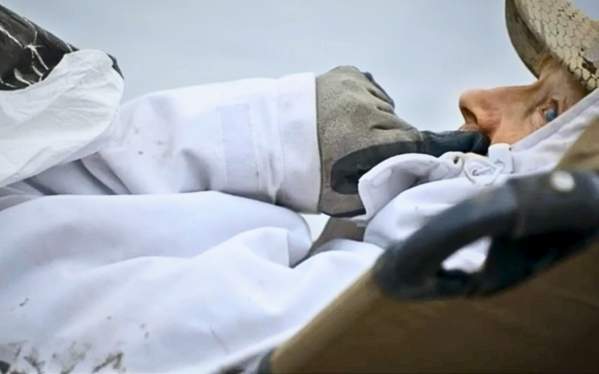 Chasing White Birds & Walleyes: A Devil’s Lake Double-Header