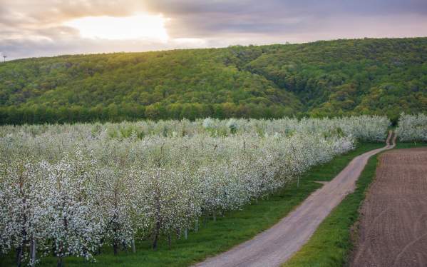 Spend a Spring Weekend in Syracuse