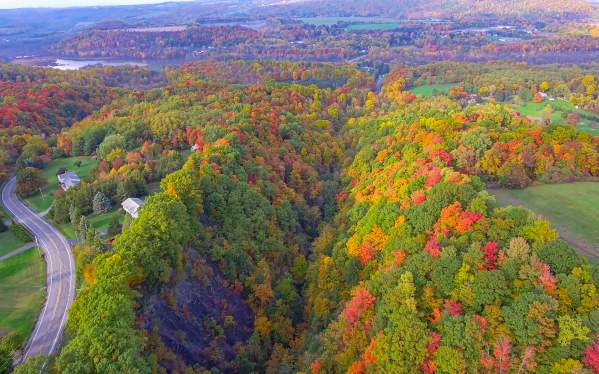 A Guide to All Things Autumn
