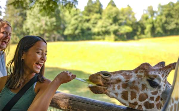 binder park zoo
