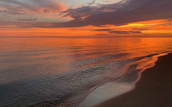 Ludington State Park