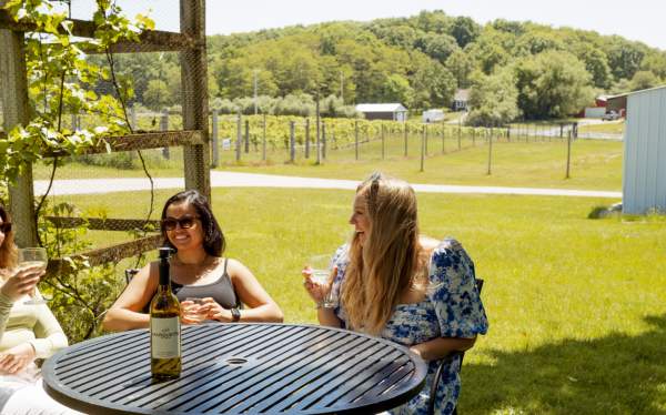Sip Your Way through West Michigan’s Wine Country