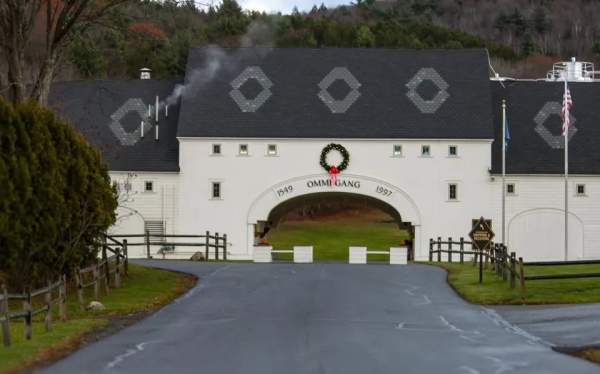 Wreath Making Workshop with Mohican Flowers