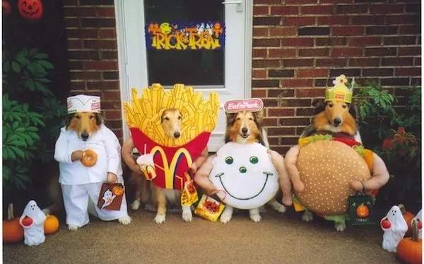 Fall Festival