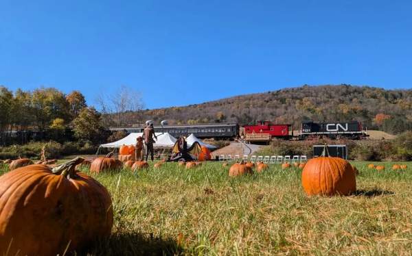 Pumpkin Patch Express