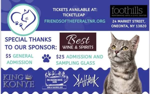 FERAL FEST 2025