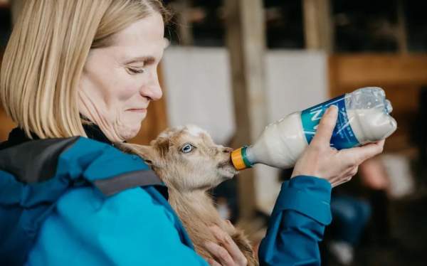 Volunteer- Bottle Feed Baby Goats