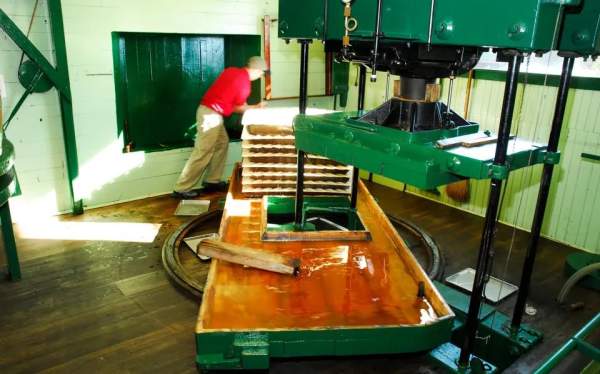 Cider Pressing Day
