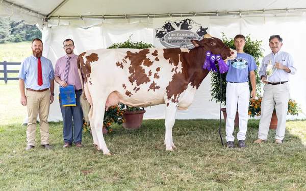 Junior Livestock Show