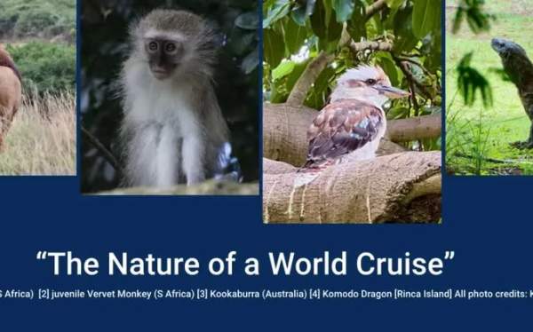 The Nature of a World Cruise Program with Kathryn Davino