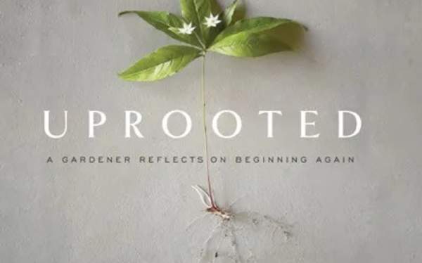 Lake and Valley Garden Club Presents: A Gardner Reflects, a Talk by Page Dickey