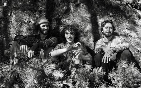 Moondogs