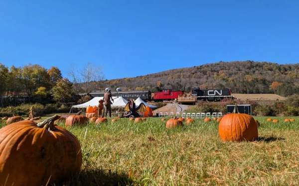 Pumpkin Patch Express