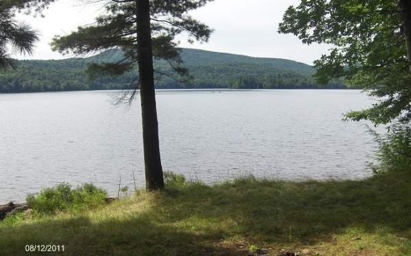 Arnold Lake State Forest