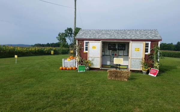 Roedale Farm Market & Mazes