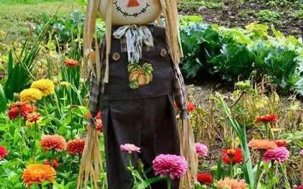 Build-A-Scarecrow Day