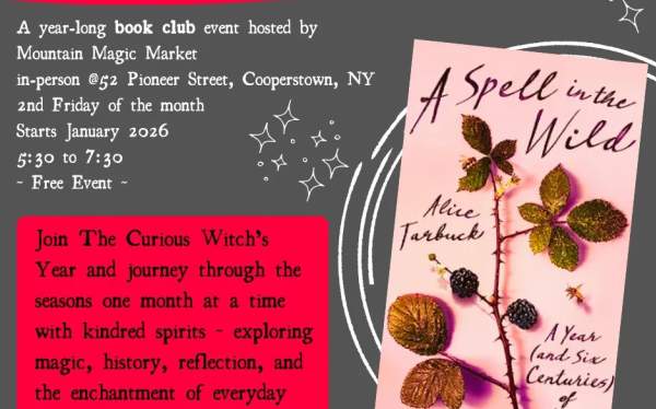 Book Club - The Curious Witch's Year