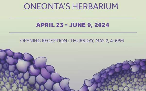Classification and Visualization: Explorations in SUNY Oneonta's Herbarium