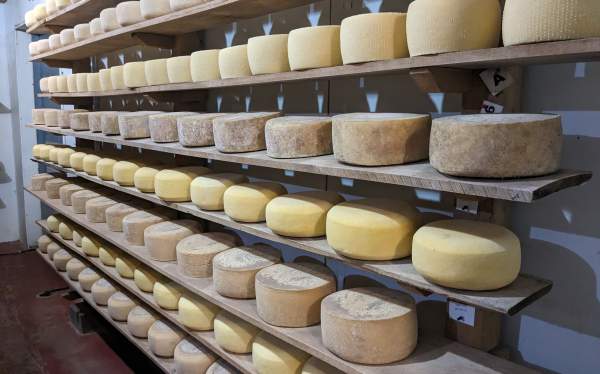 Cooperstown Cheese Company