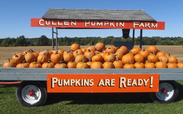 Cullen Pumpkin Farm