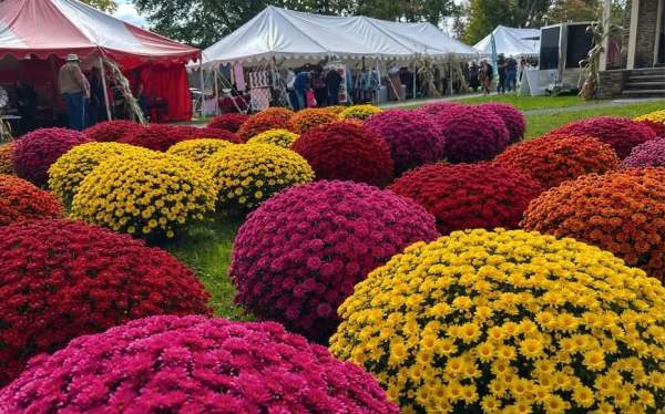 Harvest Festival