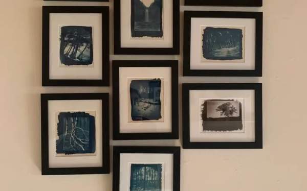 Jamie Young on Cyanotypes & Vintage Cameras