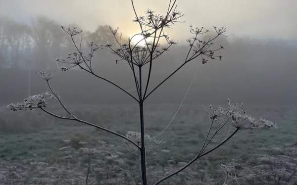 Sunday Evening Meditation