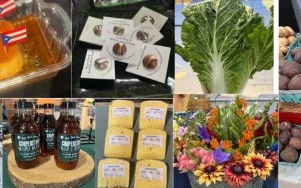 Summer Tuesday Cooperstown Farmers' Market