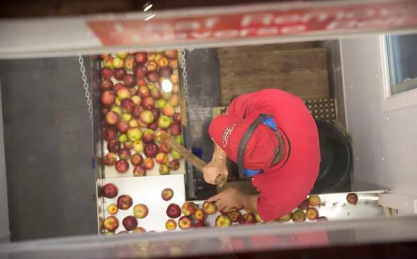 Fresh Sweet Cider Making in the Country