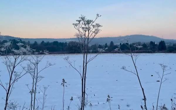 Finding Calm & Clarity: Mastering the Science of Stress with Mary Cordelia Myers