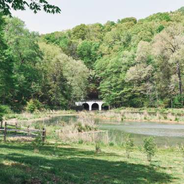 scenic view at Dunbar Cave State Park