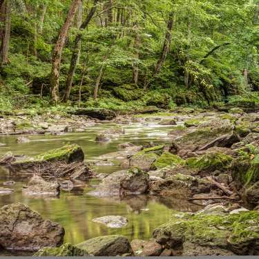 Little Miami River Flowing Through the Clifton Gorge