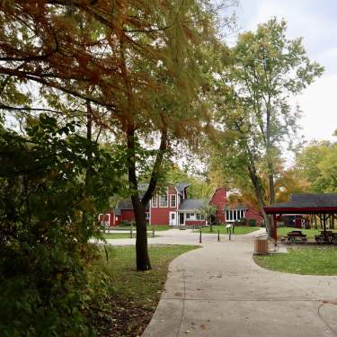 Springbrook in the fall