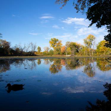 Fall at Spring Valley Nature Center Schaumburg