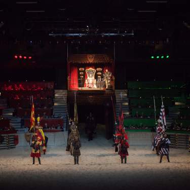 Dinner Show at Medieval Times