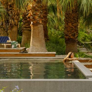 Two Bunch Palms in Desert Hot Springs