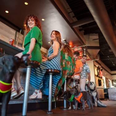Luchador Brewing Company, Cathedral City