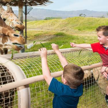 Family Fun Things To Do With Kids Greater Palm Springs