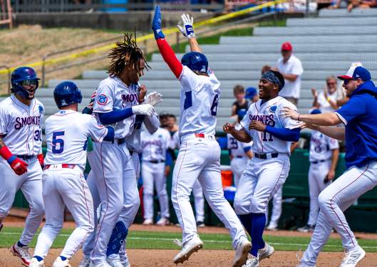 Knoxville Smokies Baseball 1
