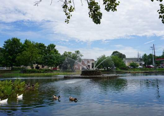 ​Fountain City Duck Pond courtesy of Knoxville History Project