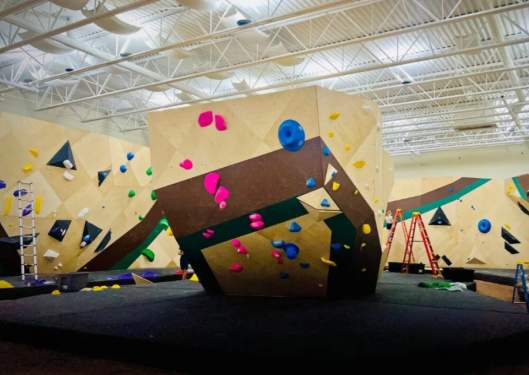 Climbing Roots